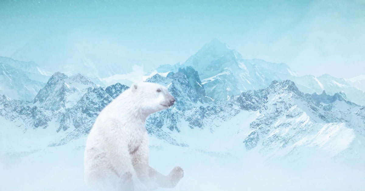 A screenshot of a 3D animation promotional video of a fridge showing a polar bear sitting in the coldness of the fridge